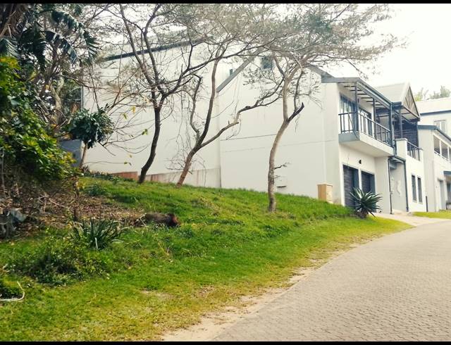 518M² VACANT LAND FOR SALE IN PRINCE'S GRANT GOLF ESTATE